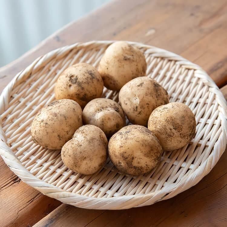 <img class='new_mark_img1' src='https://img.shop-pro.jp/img/new/icons5.gif' style='border:none;display:inline;margin:0px;padding:0px;width:auto;' />���Ĥ���Τ��㤬����(��������) 500g