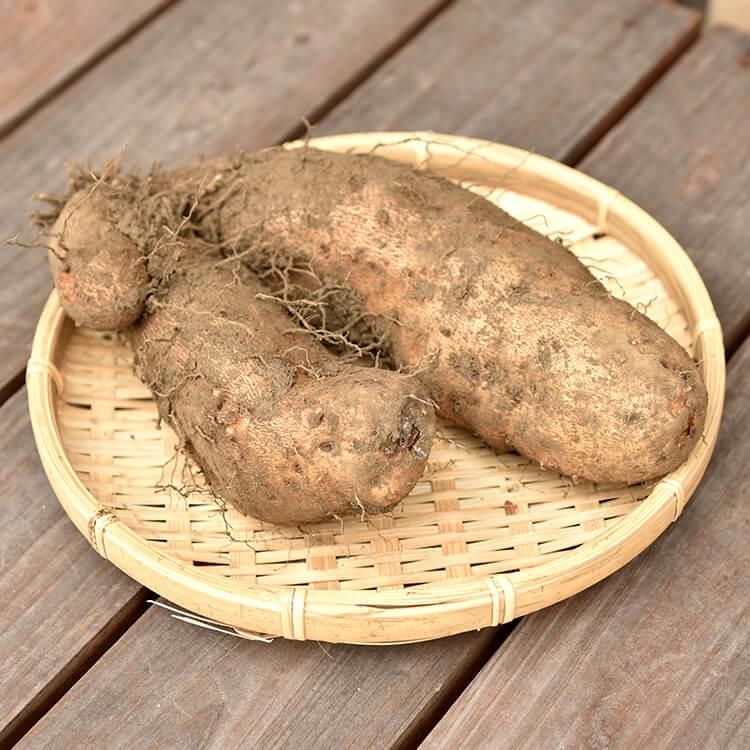 <img class='new_mark_img1' src='https://img.shop-pro.jp/img/new/icons5.gif' style='border:none;display:inline;margin:0px;padding:0px;width:auto;' />λ() 400g~500g