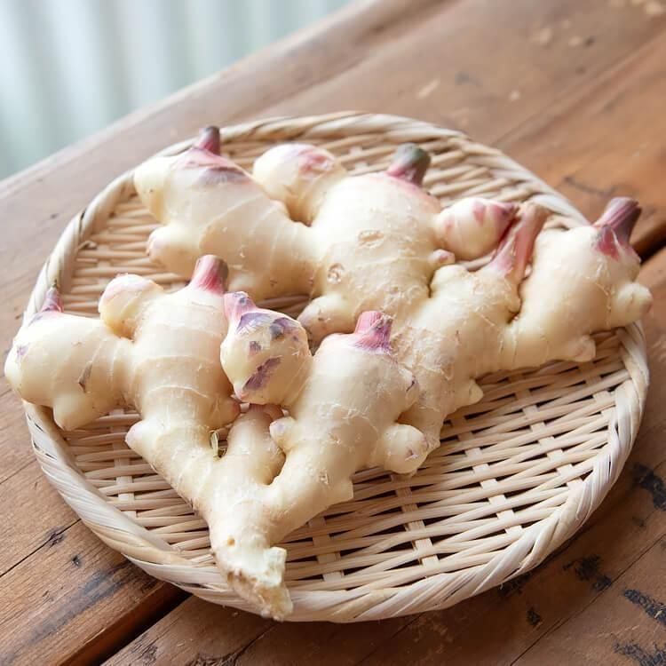 <img class='new_mark_img1' src='https://img.shop-pro.jp/img/new/icons5.gif' style='border:none;display:inline;margin:0px;padding:0px;width:auto;' />ۤμժ 500g (ܺ긩)