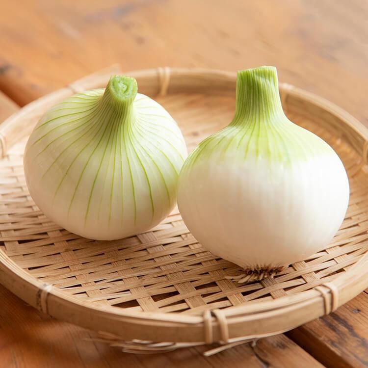 単品野菜 - 自然派きくち村 | 自然栽培・無農薬(栽培期間中農薬 単品野菜 - 自然派きくち村 | 自然栽培・無農薬(栽培期間中農薬