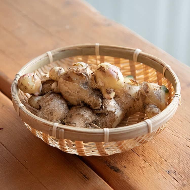 ȯμժ 500g..