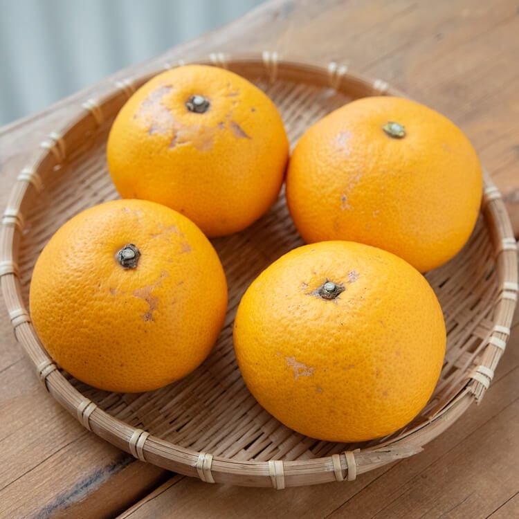 ¼δŲƤߤ(Ի) 1kg