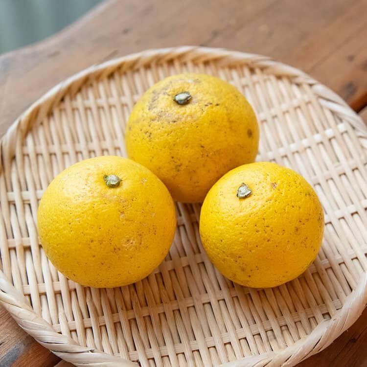 <img class='new_mark_img1' src='https://img.shop-pro.jp/img/new/icons5.gif' style='border:none;display:inline;margin:0px;padding:0px;width:auto;' />餫ߤ ܥʼݡ500g