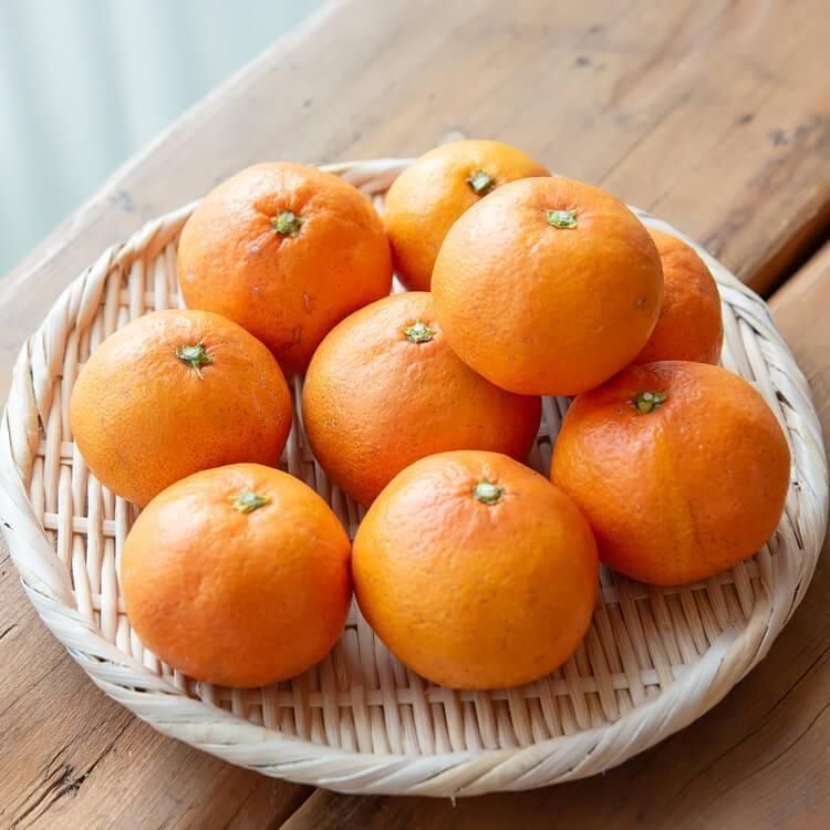 <img class='new_mark_img1' src='https://img.shop-pro.jp/img/new/icons58.gif' style='border:none;display:inline;margin:0px;padding:0px;width:auto;' />餫ߤ ߤ() 1kg