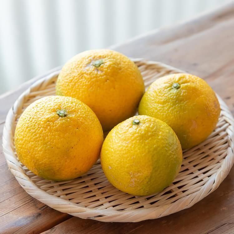 <img class='new_mark_img1' src='https://img.shop-pro.jp/img/new/icons5.gif' style='border:none;display:inline;margin:0px;padding:0px;width:auto;' />��餫�ߤ������ �������ȥ��ץ��(��������) 1kg