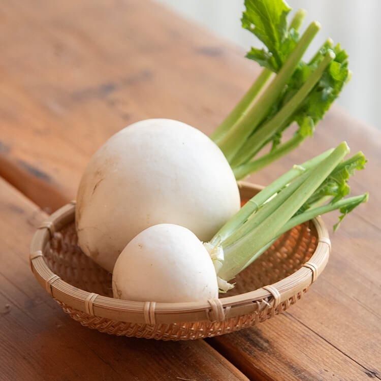 単品野菜 - 自然派きくち村 | 自然栽培・無農薬(栽培期間中農薬 単品野菜 - 自然派きくち村 | 自然栽培・無農薬(栽培期間中農薬