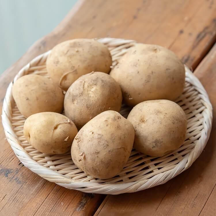 単品野菜 - 自然派きくち村 | 自然栽培・無農薬(栽培期間中農薬 単品野菜 - 自然派きくち村 | 自然栽培・無農薬(栽培期間中農薬