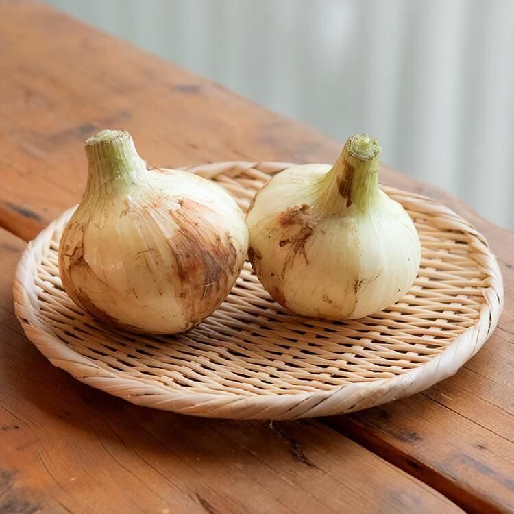 単品野菜 - 自然派きくち村 | 自然栽培・無農薬(栽培期間中農薬 単品野菜 - 自然派きくち村 | 自然栽培・無農薬(栽培期間中農薬
