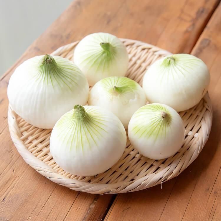 5/23()ȯʬ_ĮΥ̤ͤԻѡ1.2kg