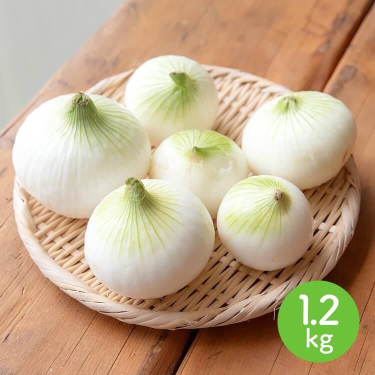 5/27()ȯʬ_ĮΥ̤ͤԻѡ1.2kg