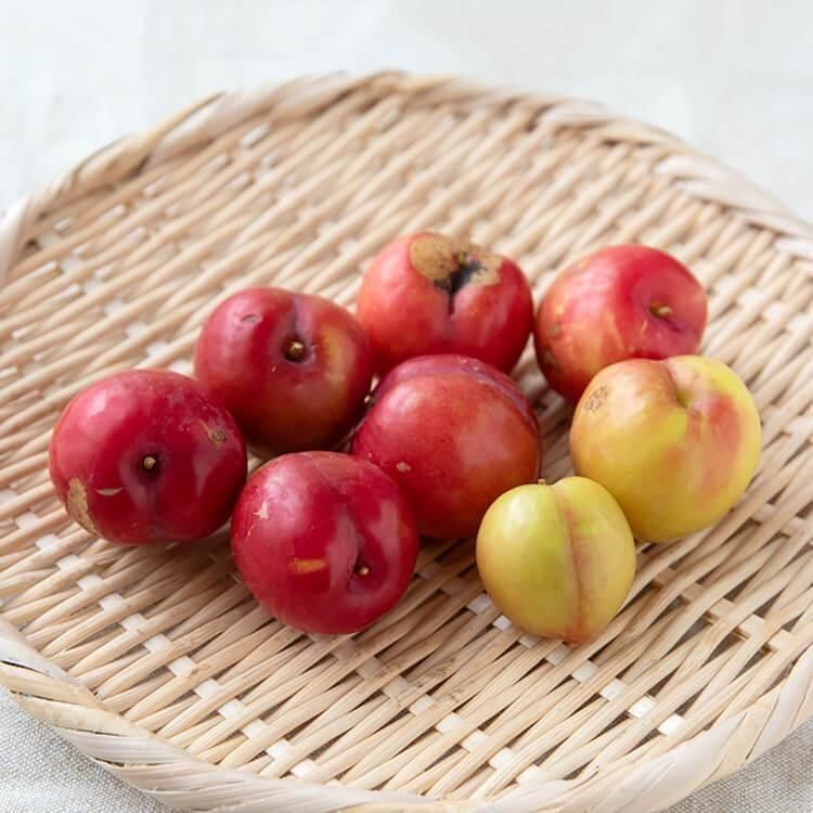 <img class='new_mark_img1' src='https://img.shop-pro.jp/img/new/icons5.gif' style='border:none;display:inline;margin:0px;padding:0px;width:auto;' />Υץ() 300g