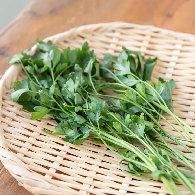 単品野菜 - 自然派きくち村 | 自然栽培・無農薬（栽培期間中農薬