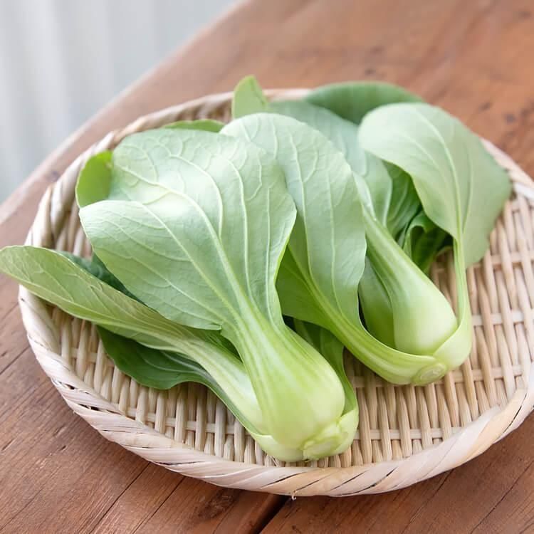 <img class='new_mark_img1' src='https://img.shop-pro.jp/img/new/icons5.gif' style='border:none;display:inline;margin:0px;padding:0px;width:auto;' />11/11()ȯʬ_Υߥ˥󥲥󥵥(Ի) 1