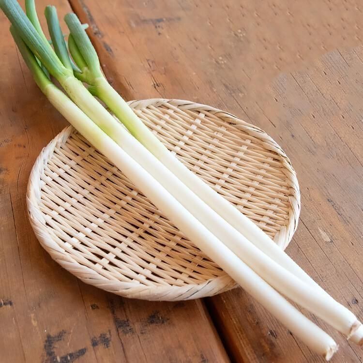 <img class='new_mark_img1' src='https://img.shop-pro.jp/img/new/icons5.gif' style='border:none;display:inline;margin:0px;padding:0px;width:auto;' />ޤȤͤ(Ի) 1