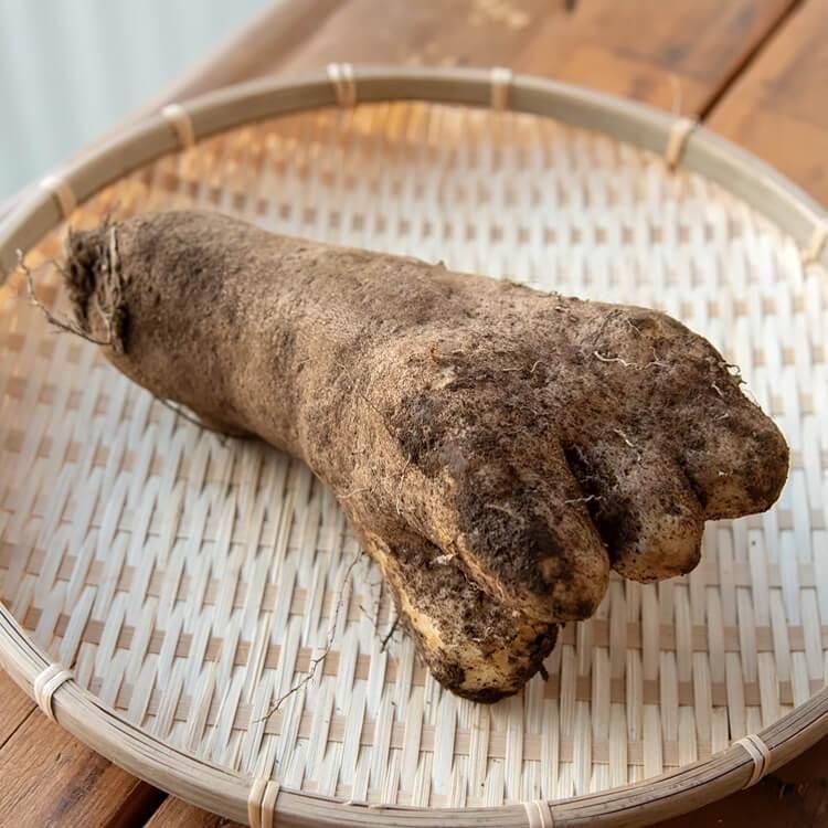 <img class='new_mark_img1' src='https://img.shop-pro.jp/img/new/icons5.gif' style='border:none;display:inline;margin:0px;padding:0px;width:auto;' />꡼ե෧ܤΤĤͰ(Ի) 1