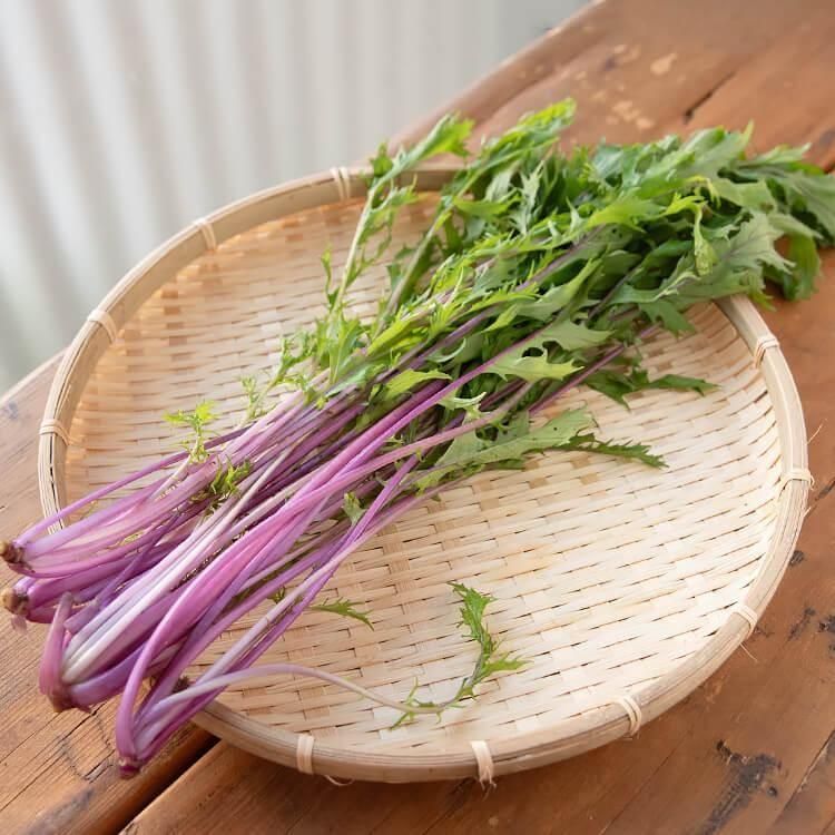 <img class='new_mark_img1' src='https://img.shop-pro.jp/img/new/icons5.gif' style='border:none;display:inline;margin:0px;padding:0px;width:auto;' />12/9()ȯʬ_¼ֿ(Ի)  1