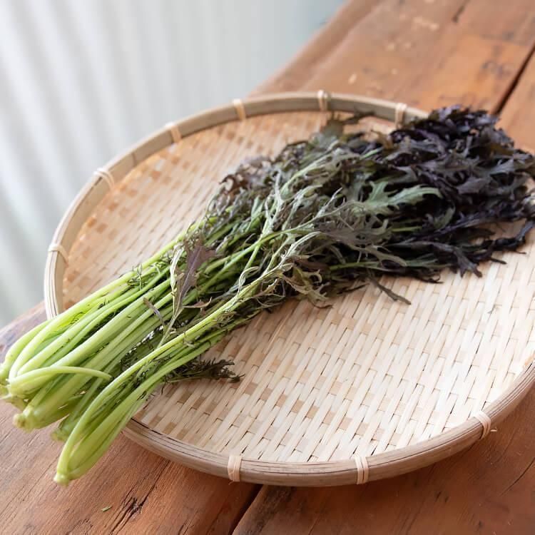 <img class='new_mark_img1' src='https://img.shop-pro.jp/img/new/icons5.gif' style='border:none;display:inline;margin:0px;padding:0px;width:auto;' />12/9()ȯʬ_¼֤餷(Ի)  1