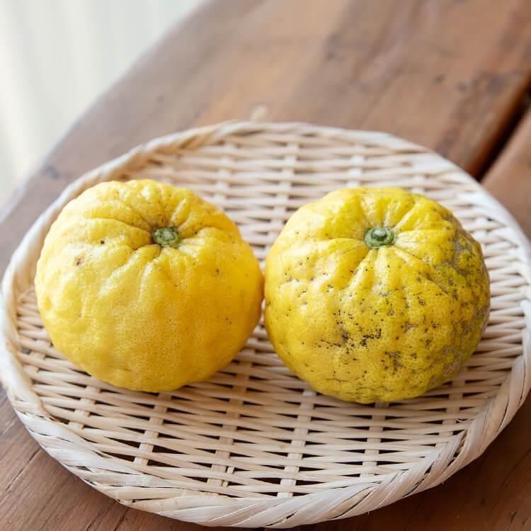 <img class='new_mark_img1' src='https://img.shop-pro.jp/img/new/icons5.gif' style='border:none;display:inline;margin:0px;padding:0px;width:auto;' />λҤ椺 () 2