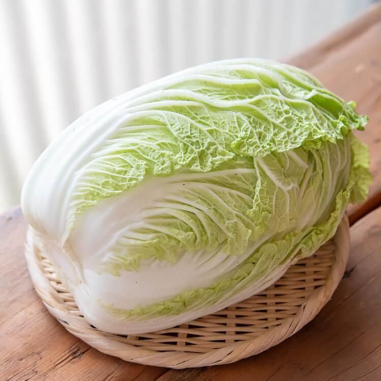 <img class='new_mark_img1' src='https://img.shop-pro.jp/img/new/icons5.gif' style='border:none;display:inline;margin:0px;padding:0px;width:auto;' />ޤȤͭߥ(Ի) 1