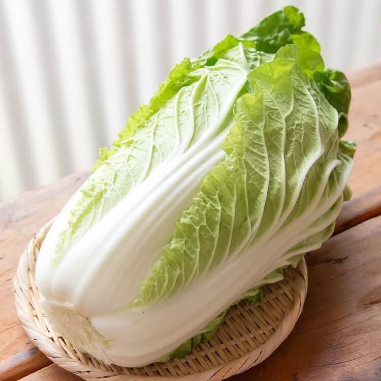 <img class='new_mark_img1' src='https://img.shop-pro.jp/img/new/icons5.gif' style='border:none;display:inline;margin:0px;padding:0px;width:auto;' />12/9()ȯʬ_(Ի) 1