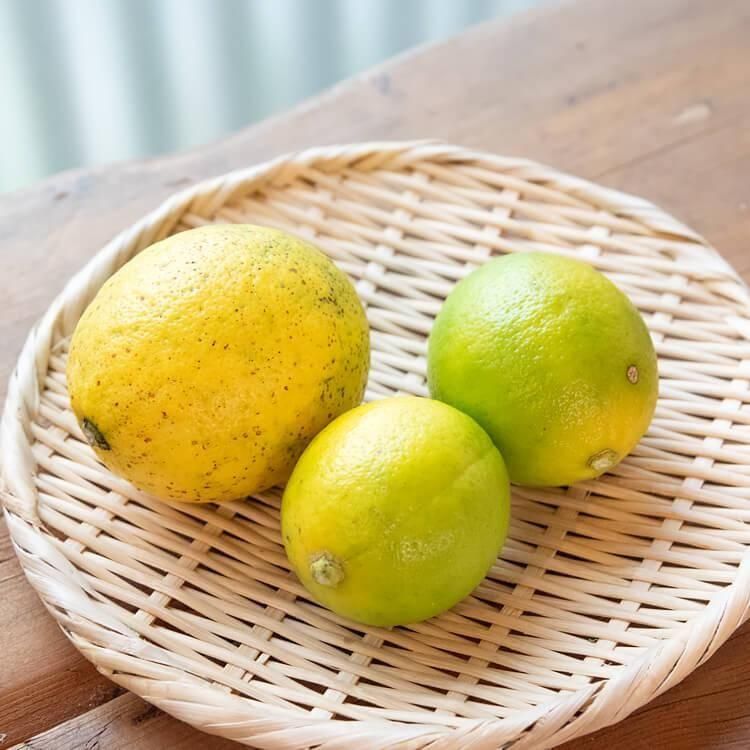 <img class='new_mark_img1' src='https://img.shop-pro.jp/img/new/icons5.gif' style='border:none;display:inline;margin:0px;padding:0px;width:auto;' />餫ߤ ޥ䡼ʼݡ500g