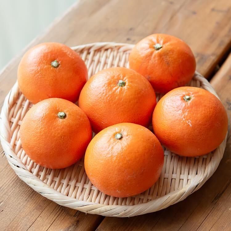 <img class='new_mark_img1' src='https://img.shop-pro.jp/img/new/icons5.gif' style='border:none;display:inline;margin:0px;padding:0px;width:auto;' />餫ߤ ߤϤ() 1kg