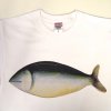panpanya Tシャツ　魚