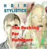 HAIR STYLISTICS The Fucking For Furniture