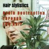 HAIR STYLISTICS 「BRAIN DESTRUCTION THROUGH THE HAIR」