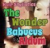 HAIR STYLISTICS 「THE WONDER BABUCUS」