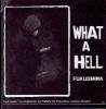 Human Recovery Project「WHAT A HELL FUKUSHIMA」