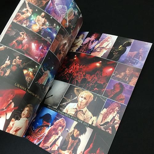 amber gris CDセット V系 amber gris CD DVD ブックレット まとめ売り