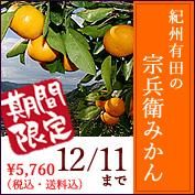 期間限定みかん