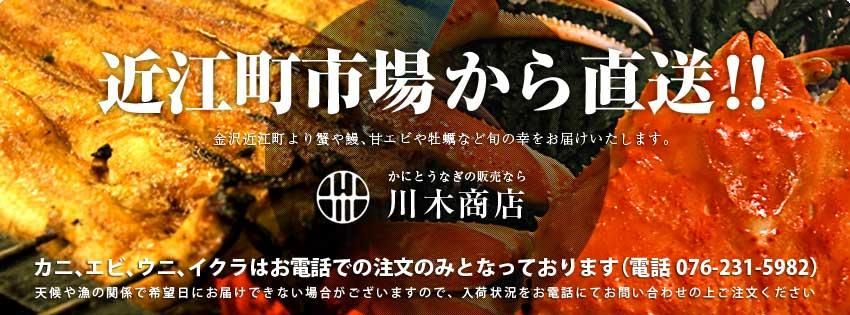 ガスエビ 10匹 カニとうなぎの通販なら金沢近江町 川木商店 ガスエビ 10匹 カニとうなぎの通販なら金沢近江町 川木商店