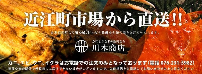 ガスエビ 10匹 カニとうなぎの通販なら金沢近江町 川木商店