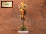 植物樹脂標本　クリスマスボトル（フランキンセンス・ミルラ・ゴールド）の植物標本　(The Mineral Forest)