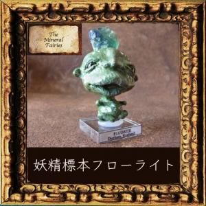 【おまとめ購入ページ】妖精茨標本 他1点 妖精標本(フェアリー キューブ) 1 (花とゆめコミックス) | 由貴