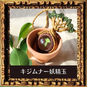 沖縄の聖なる木「カジュマル」の木の葉と水晶玉のペンダント　キジムナー妖精玉