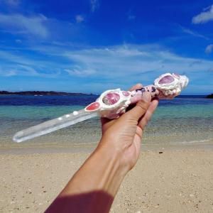 <img class='new_mark_img1' src='https://img.shop-pro.jp/img/new/icons1.gif' style='border:none;display:inline;margin:0px;padding:0px;width:auto;' />ˡξ󡦥ꥢۥ磻ȥ쥤ɡ˥γѡɥ꡼७ѡ