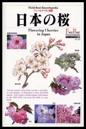 新 日本の桜 山と渓谷社 初版第一版 絶版 図鑑 美品