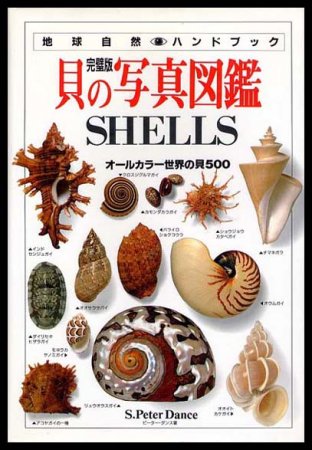 完璧版 貝の写真図鑑オールカラー世界の貝500sold Out ありがとうございました すぺくり古本舎