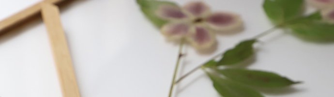moebe ムーベ 自由 飾り インテリア 額縁 フレーム 北欧 木製 押し花