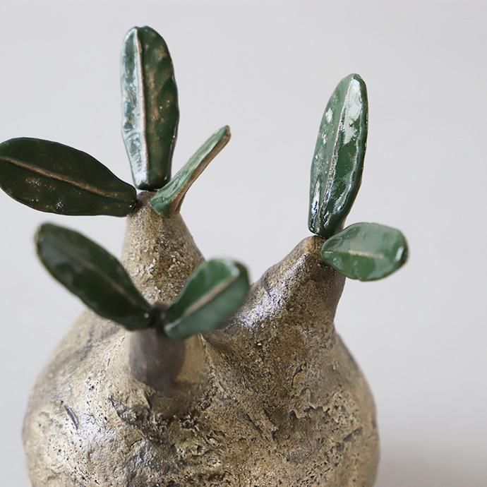 多肉 植物 陶植 陶器 スタジオゾク studiozok 滝上玄野 インテリアグリーン オブジェ 置物