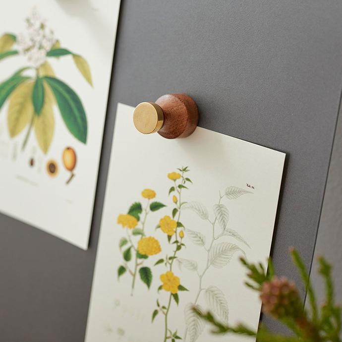 木とBRASSのマグネットフック - ハシュケ［hushykke］