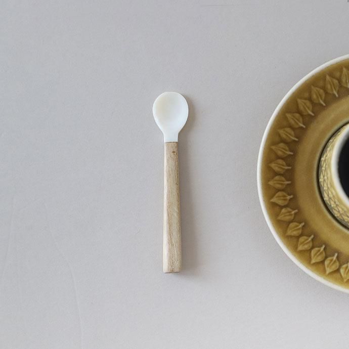 ס ƥס ҡס ߥ˥ס   ŷǺ shell wood