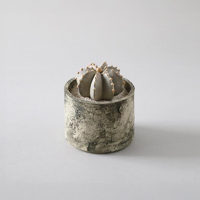 陶器　置物　共箱 予約】STUDIO. ZOK｜陶植セット ランポー玉 八角 - ハシュケ