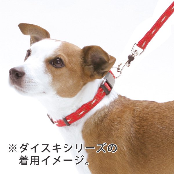 ［ターキー］DSクロスプラス平リード［中型犬用 M］ - ペット用品・ペットグッズ（犬・猫用品）通販サイト【ペファミ】