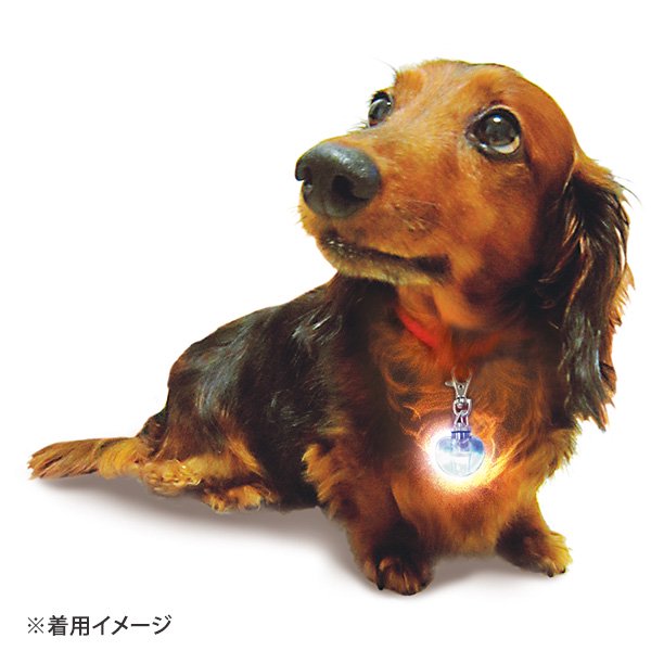 ターキー］クリスタルライト01 (全犬種用) - ペット用品・ペットグッズ（犬・猫用品）通販サイト【ペファミ】