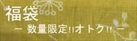 ʡ