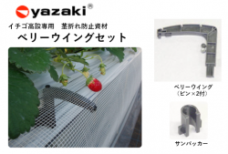 ٥꡼󥰡200/åȡˡ경